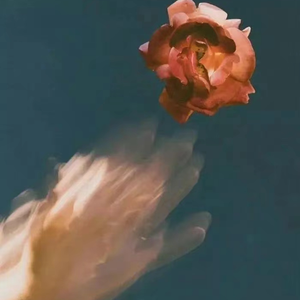 艹草b啪啪啪视频
